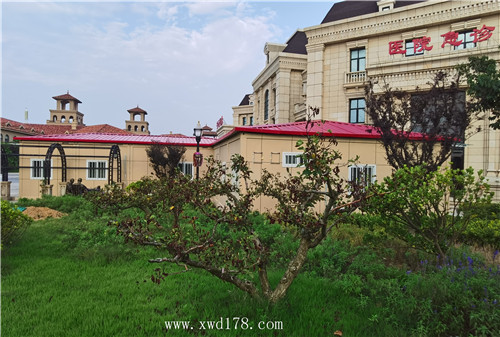 安云醫院集裝箱案例